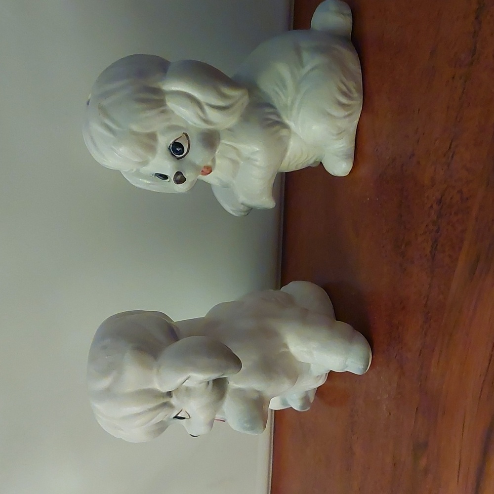 Poodle Salt & Pepper - Picture 2 of 13